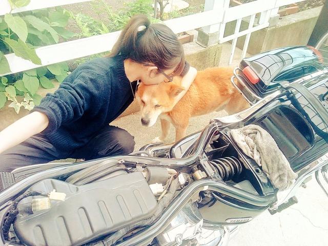 画像: この数日後には立てなくなった愛犬。けれど、バイクを弄っている時は、私の側に来てくれてたのです。