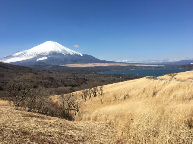 画像2: 絶景の富士山!(モリメグ)