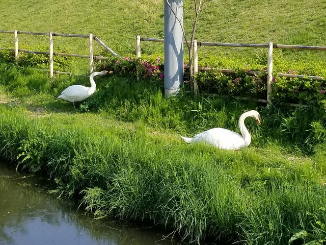 画像: あらっ!!こっちには本物が休憩中でした^^
