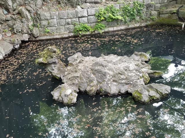 画像: どこにいるでしょう!?^^
