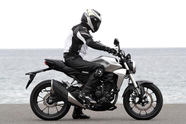 画像: RIDING POSITION (身長:176㎝、体重:60㎏)