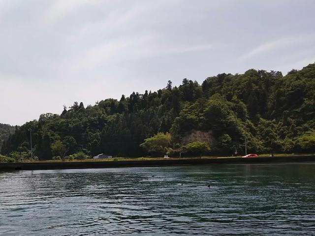 画像: ふと、向こう岸をみると、家族連れやサイクリングの人たちが手を振っている。「ええええ。これ、ただで見れるんじゃん。あたしの4500円っていったい(O_O)」と思いつつも、あたしだったら見やすいスポットに辿り着けなかったかもしれないし、ここには天然のイルカが13頭いることや、お母さんが「ゆきじ」という名前だと知ることができなかったしね。