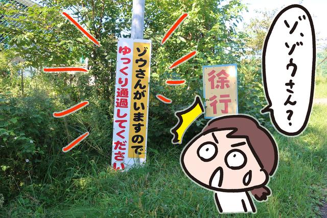 画像1: <東北でジムカーナ>エビスサーキットに行ってきました!(寺崎 愛)