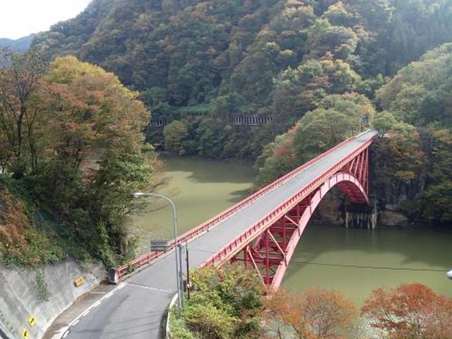 画像: これが全部紅葉したときに走りいきたいな~