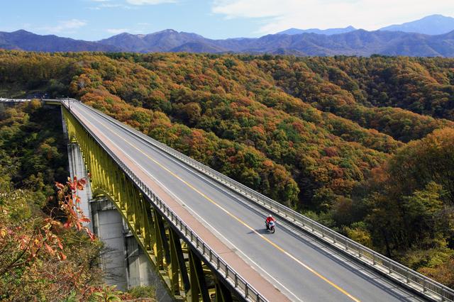 画像: 「八ヶ岳高原」例年の見頃:10月下旬~11月上旬