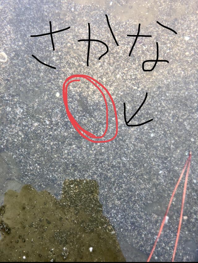 画像7: お友達と貝焼きを食べにツーリング♡(葉月美優)