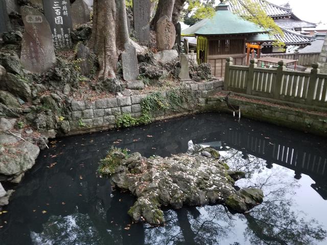 画像3: 調べたところ成田山新勝寺も16時までになっていましたが、 本堂には入れたのでお参り(*˘︶˘人)