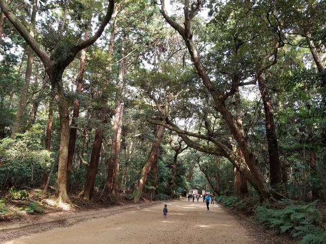 画像4: 鹿島神宮に無事到着(;_;)♡ ほっとしたわ~。