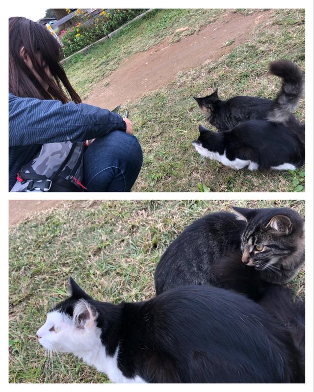 画像26: パートナーは大関さおりさん!