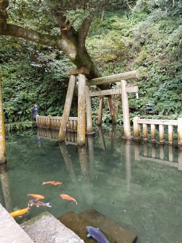 画像: みうみう…「御手洗池って!笑」「鯉気持ち悪い~」 もう~どこからツッコンでいいのか分からないくらいみうみう節が炸裂しました。