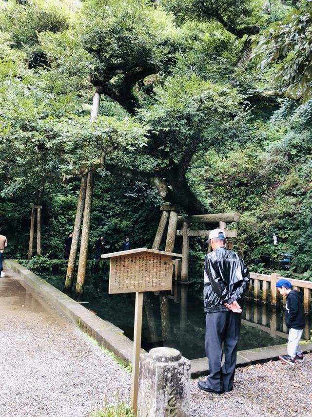 画像14: パートナーは大関さおりさん!