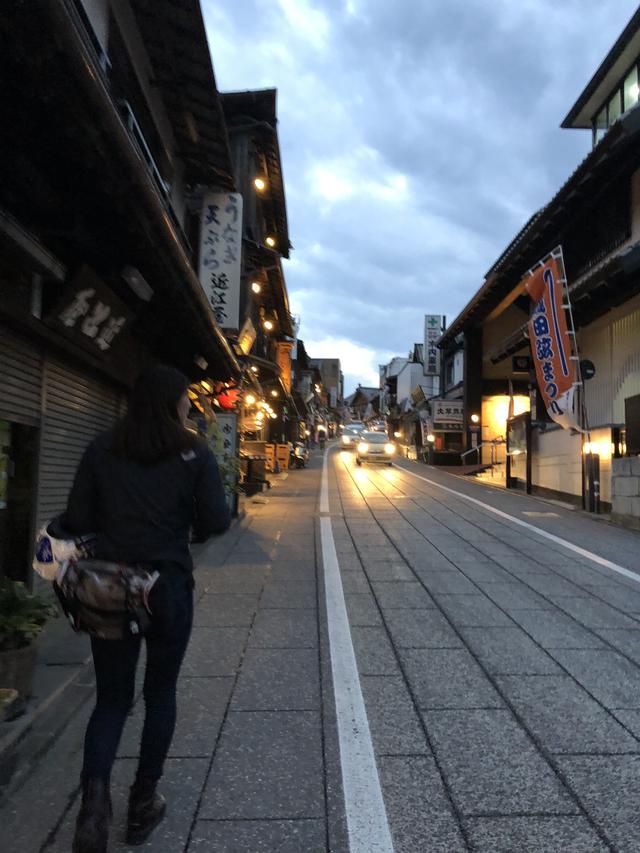 画像34: パートナーは大関さおりさん!