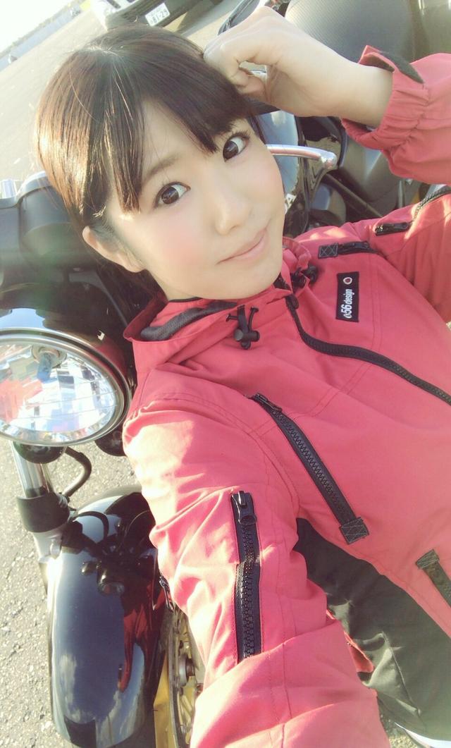 画像14: 輸入車や国産車の試乗車がいっぱい!
