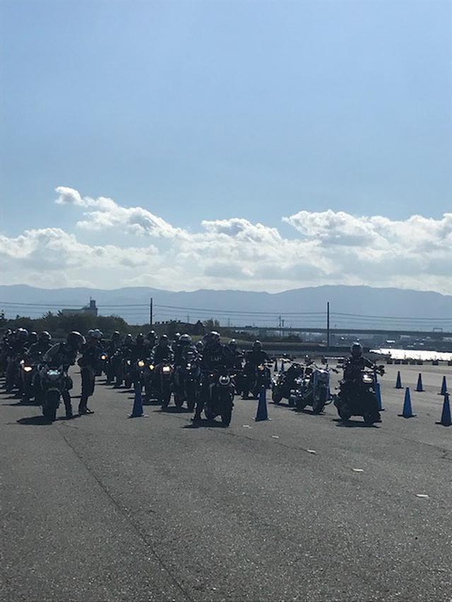 画像1: 輸入車や国産車の試乗車がいっぱい!