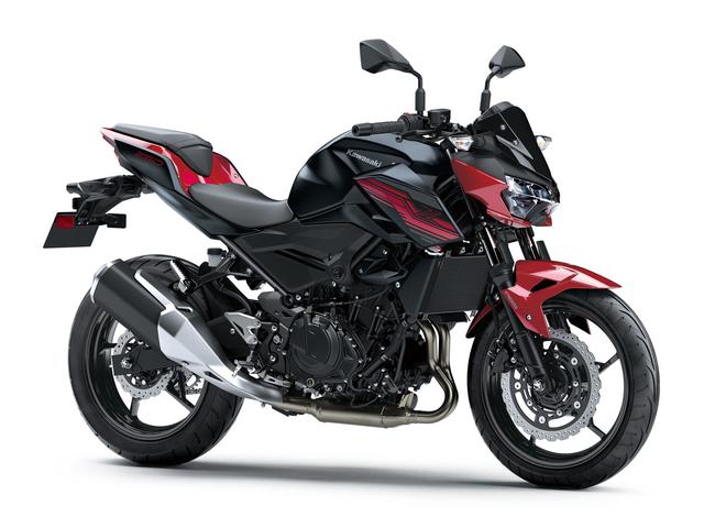 画像4: 新型ニンジャ250をベースとした軽快ファイター!