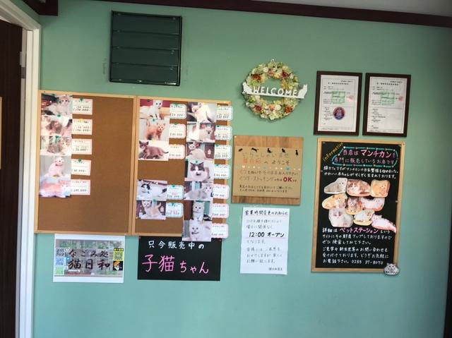 画像9: 私、梅本まどかと美環ちゃんでツーリングに٩( ´◡︎` )( ´◡︎` )۶