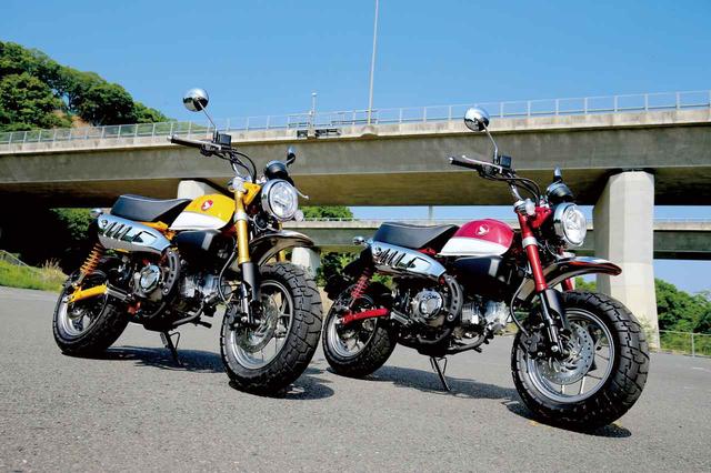 画像1: 総合クラス 第3位 18274points HONDA MONKEY125/ABS(初登場)