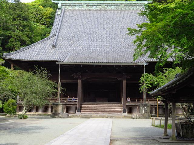 画像: 鎌倉では最大級の規模を誇るお堂、祖師堂。日蓮聖人を祀っています。