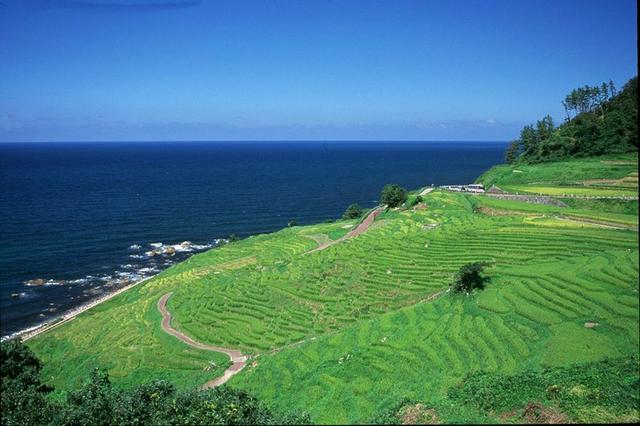 画像: 海岸線の国道249号を走ると見える輪島市白米町の景勝地「白米千枚田」。四季折々の表情が楽しめる