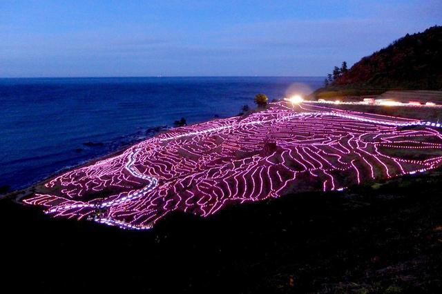 画像: 白米千枚田は収穫を終えた10月から田植えが始まる前の3月までライトアップされる