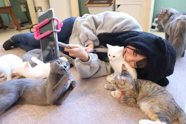 画像2: 猫カフェで癒しのひととき・・・