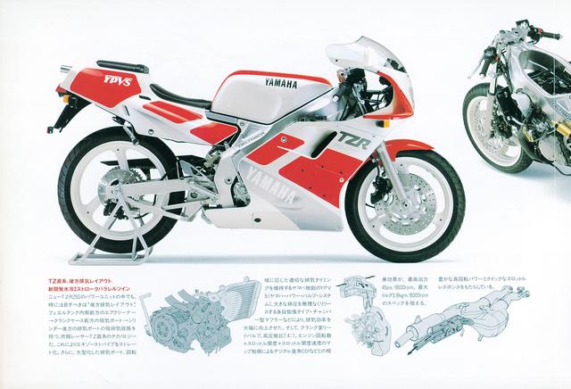 画像1: TZR250 (3MA) 1989年