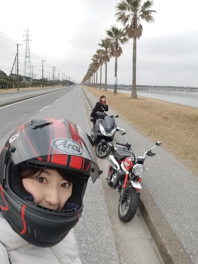 画像2: 袖ヶ浦海浜公園♪