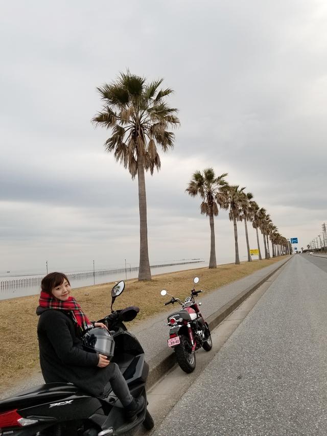 画像3: 袖ヶ浦海浜公園♪