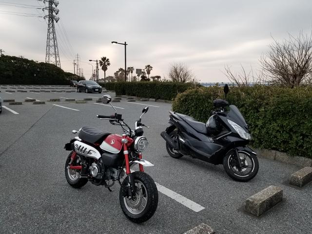 画像5: 袖ヶ浦海浜公園♪