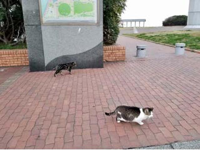 画像2: * 17:10 到着【②袖ケ浦海浜公園】