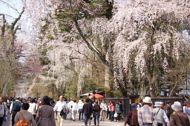 画像: ⑤秋田県仙北市/角館武家屋敷