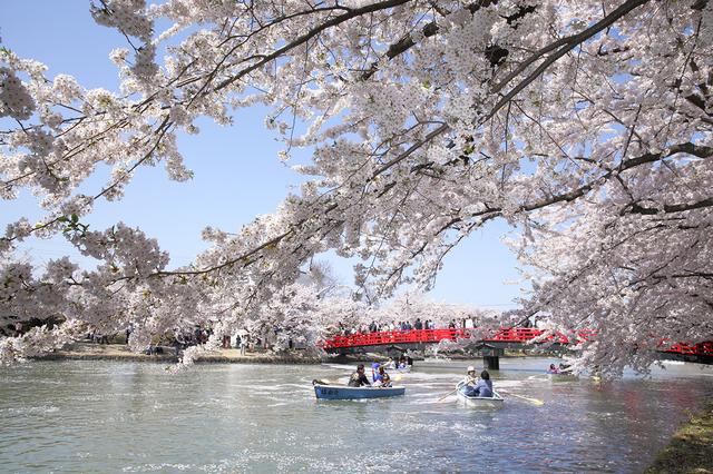 画像1: ⑥青森県弘前市/弘前公園
