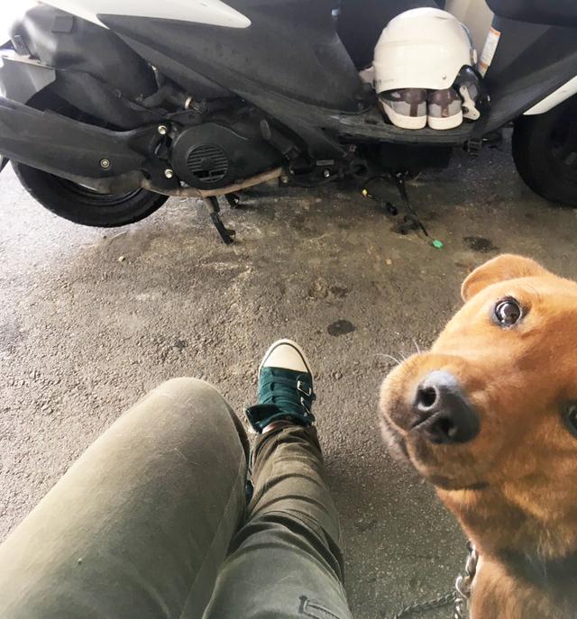 画像4: ということで、【福山理子調べ】沖縄で1番お安いレンタルバイク屋さんにGO!!