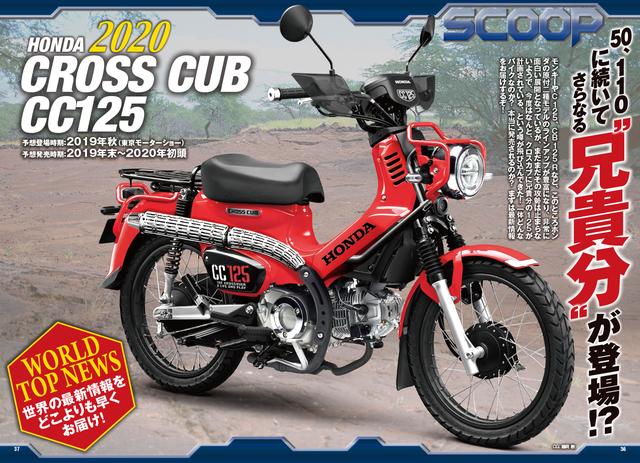 画像1: 新時代もバイクを楽しみましょう! 約300頁の大ボリュームでお届けします!