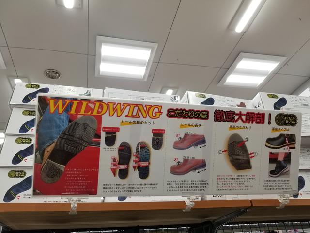 画像12: 今回のツーリング!1番の目的は「サラサちゃんのブーツを買いに行こう♪」