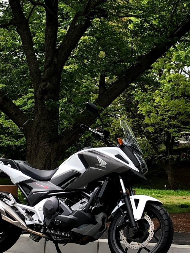 画像6: 「幼少よりバイクに親しみ国際A級ライセンス所得後、テクニカルスポーツ関東より全日本ロードレースの参戦していました。サーキットではSSばかりなので、普段はトレーニングでOFF、ツーリングではアドベンチャーモデル、通勤ではスクーターなど、いろんなオートバイに乗っています!」