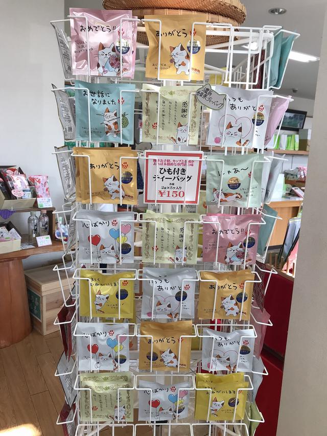 画像26: 骨折も回復し、久しぶりのツーリングへ!