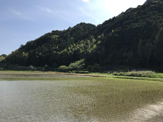 画像20: 骨折も回復し、久しぶりのツーリングへ!
