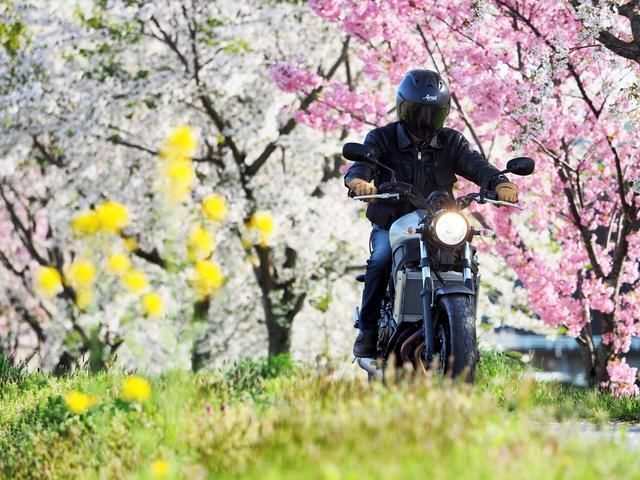 画像2: 「オーセンティック」、言われてみれば確かにそうだ