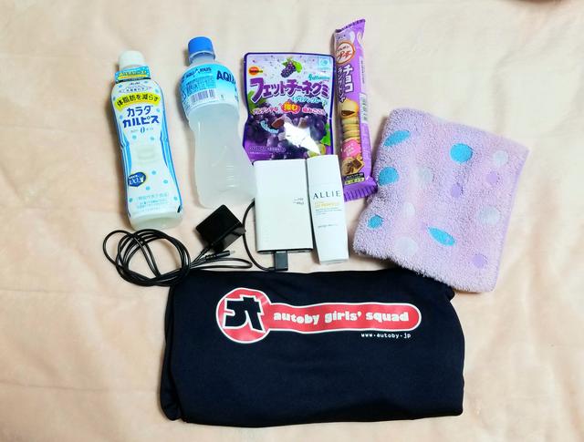 画像: ・タオル・飲み物2本・日焼け止め・充電器・オートバイTシャツ(着替え用)・そしておやつ!!←これ大事w あとはティッシュなど細々したもの。