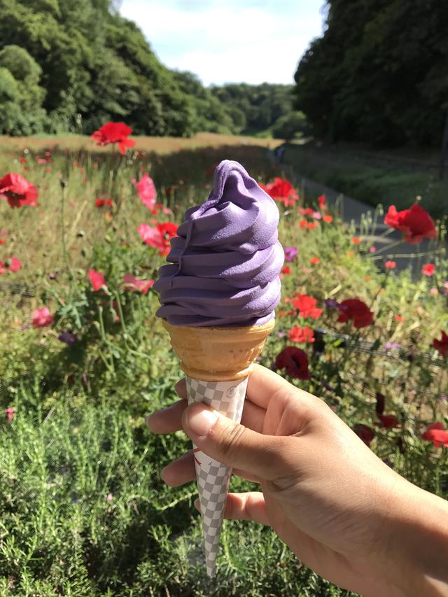 画像7: ☆実は、今回のツーリングでもたくさん食べちゃいました!笑