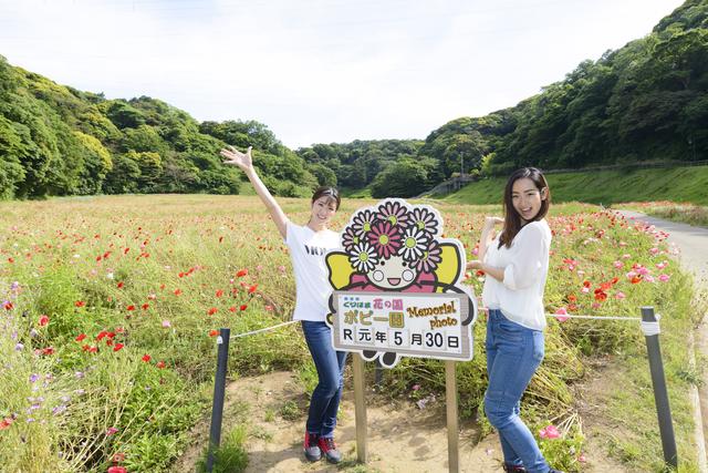 画像6: 第一目的地!横須賀・どぶ板通り!
