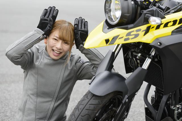 画像6: SUZUKI V-Strom 250/V-Strom 250 ABS 主なスペックと価格