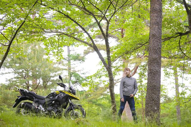 画像2: SUZUKI V-Strom 250/V-Strom 250 ABS 主なスペックと価格