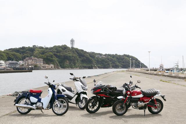 画像2: 東京→横浜の電車賃で東京→湘南を往復できます!