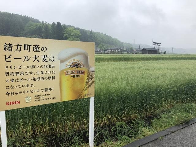 画像3: 原尻の滝(大分県豊後大野市)