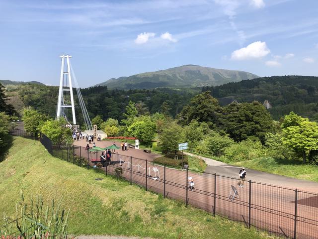 画像1: 九重夢大吊橋(大分県玖珠郡九重町)