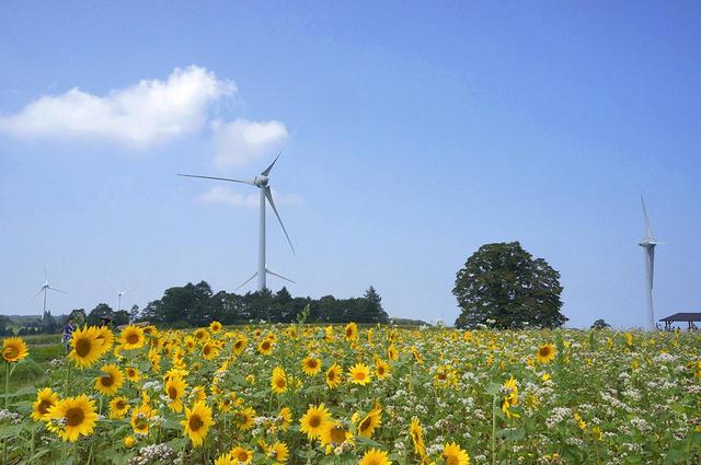 画像: 8月下旬から9月上旬、まさにこんな景色が見られるのでしょうね! 写真:福島県観光復興推進委員会