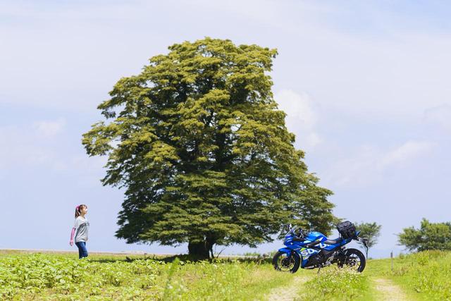 画像2: 風車が回る風の丘、布引高原へ!
