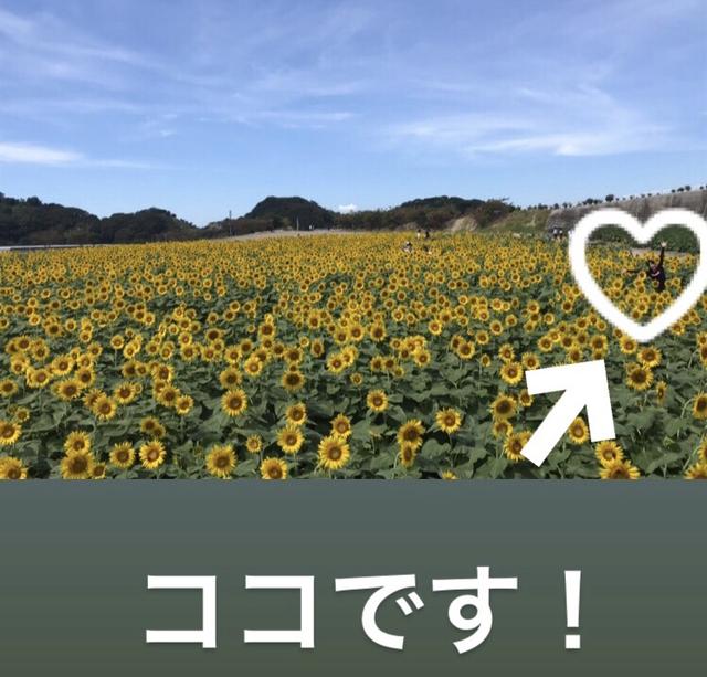 画像7: 有名なお花畑でまさかの⁈⁈